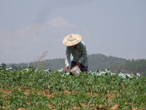 Kalaw - Lac Inle, Birmanie