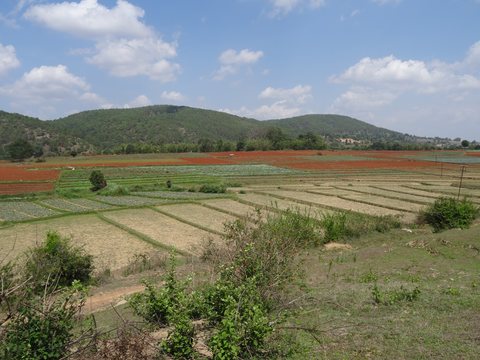 Kalaw - Lac Inle, Birmanie