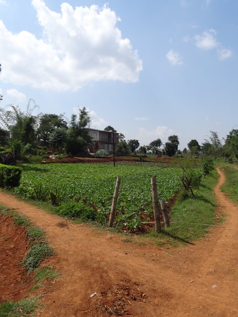 Kalaw - Lac Inle, Birmanie