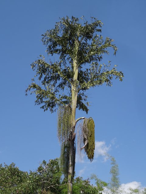 Kalaw - Lac Inle, Birmanie