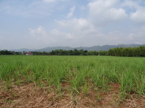 Kalaw - Lac Inle, Birmanie