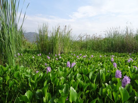 Kalaw - Lac Inle, Birmanie
