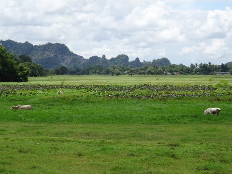 Mawlamyine - Hpa An, Birmanie