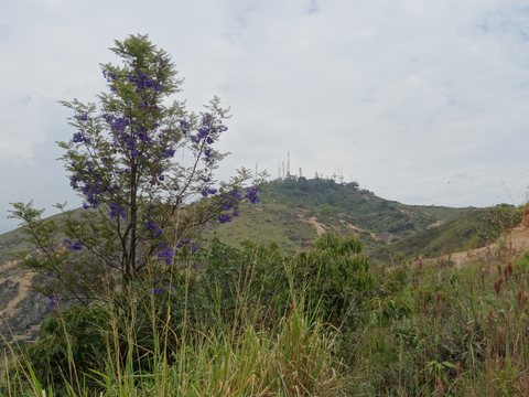 Cali, Colombie