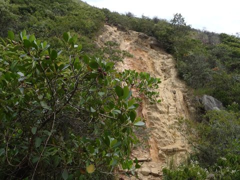 Cali, Colombie