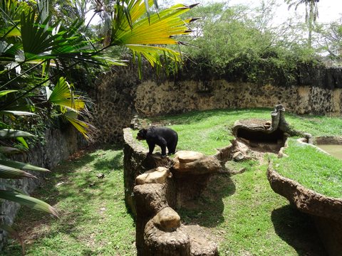 Cali, Colombie