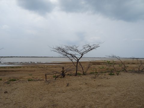 La Guajira, Colombie