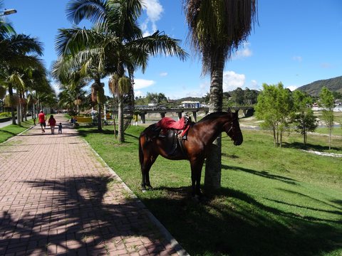 Medellin, Colombie