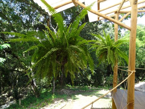 Minca - Santa Marta, Colombie