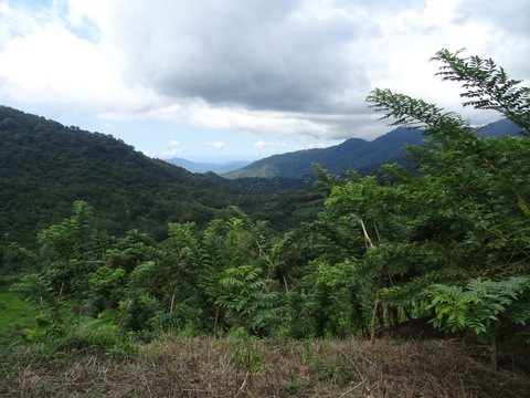 Minca - Santa Marta, Colombie