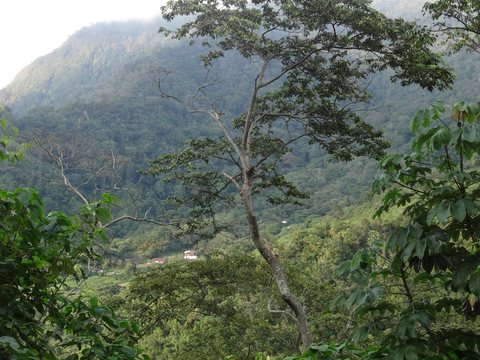 Minca - Santa Marta, Colombie