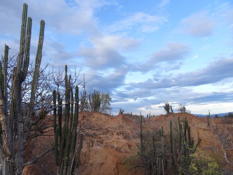 Neiva - Desierto de la Tatacoa, Colombie