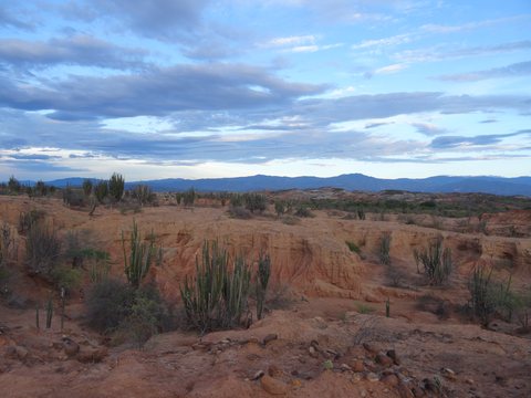 Neiva - Desierto de la Tatacoa, Colombie