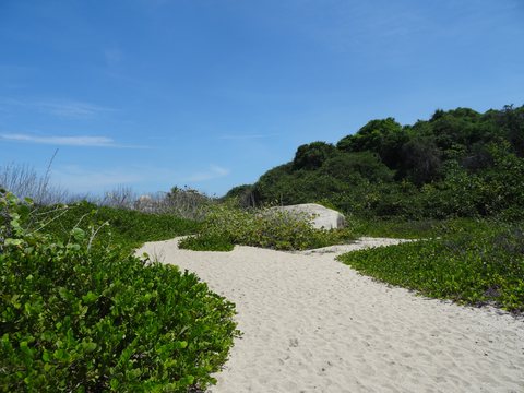 Taganga - Parc Tayrona, Colombie