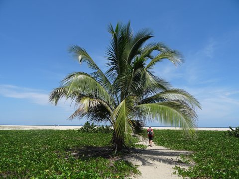 Taganga - Parc Tayrona, Colombie