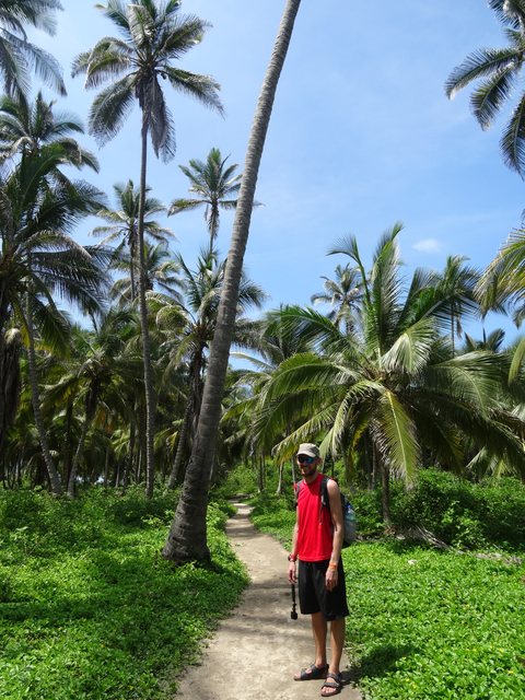 Taganga - Parc Tayrona, Colombie