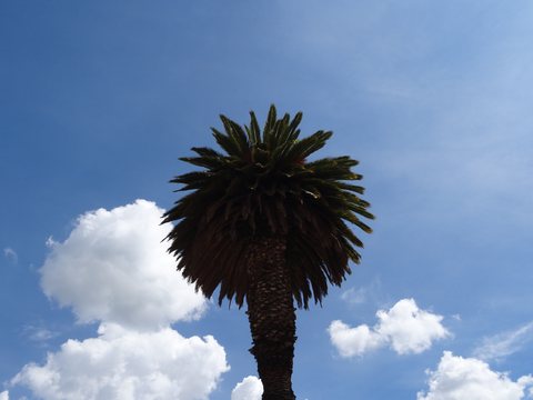 Villa de Leyva - Zipaquira, Colombie