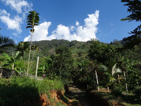 Zona Cafetera, Colombie
