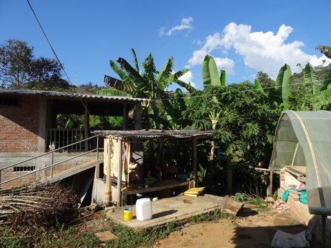 Zona Cafetera, Colombie