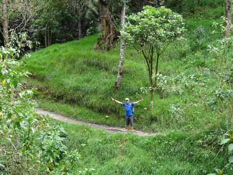 Zona Cafetera, Colombie