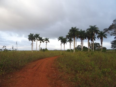 Viñales - María la Gorda - Pinar del Rio, Cuba