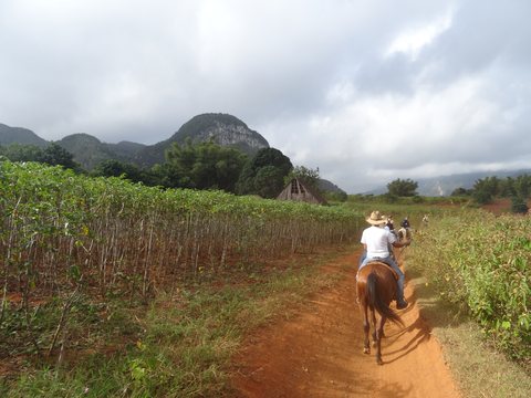 Viñales - María la Gorda - Pinar del Rio, Cuba