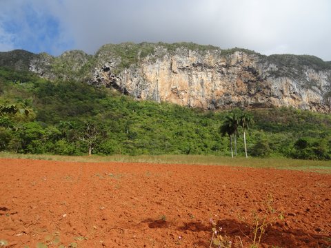 Viñales - María la Gorda - Pinar del Rio, Cuba