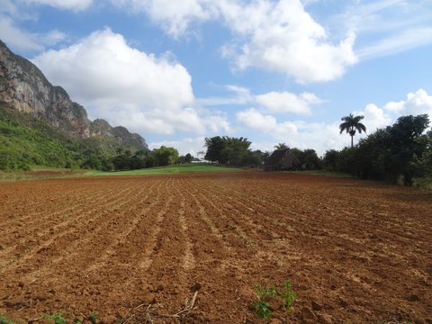 Viñales - María la Gorda - Pinar del Rio, Cuba