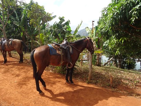 Viñales - María la Gorda - Pinar del Rio, Cuba
