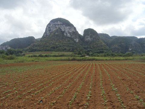 Viñales - María la Gorda - Pinar del Rio, Cuba