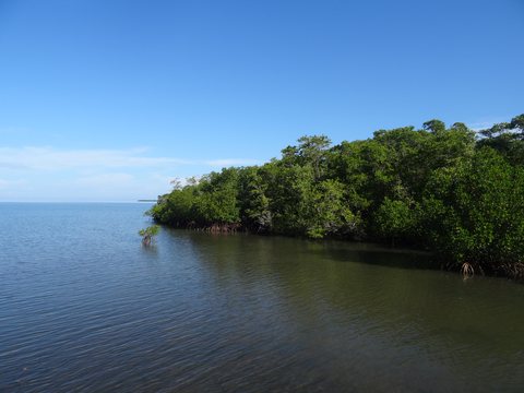 Viñales - María la Gorda - Pinar del Rio, Cuba