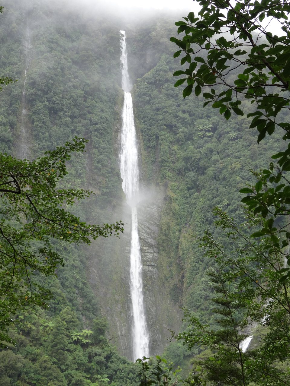 Fiordland, Nouvelle-Zélande