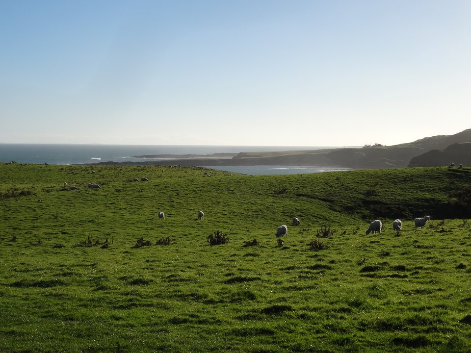 The Catlins, Nouvelle-Zélande