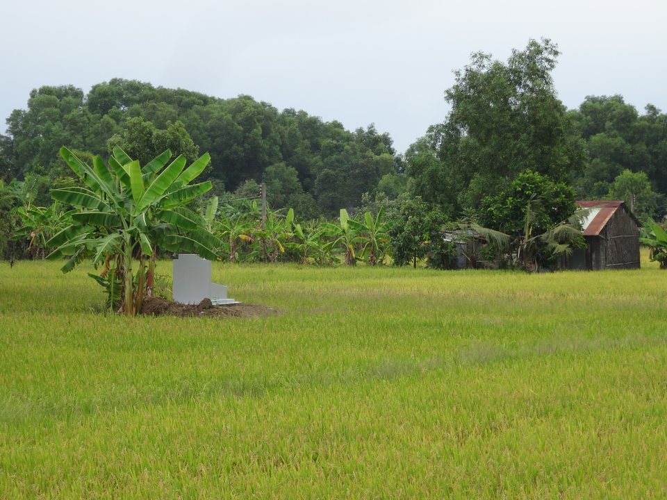 Le delta du Mékong, Vietnam
