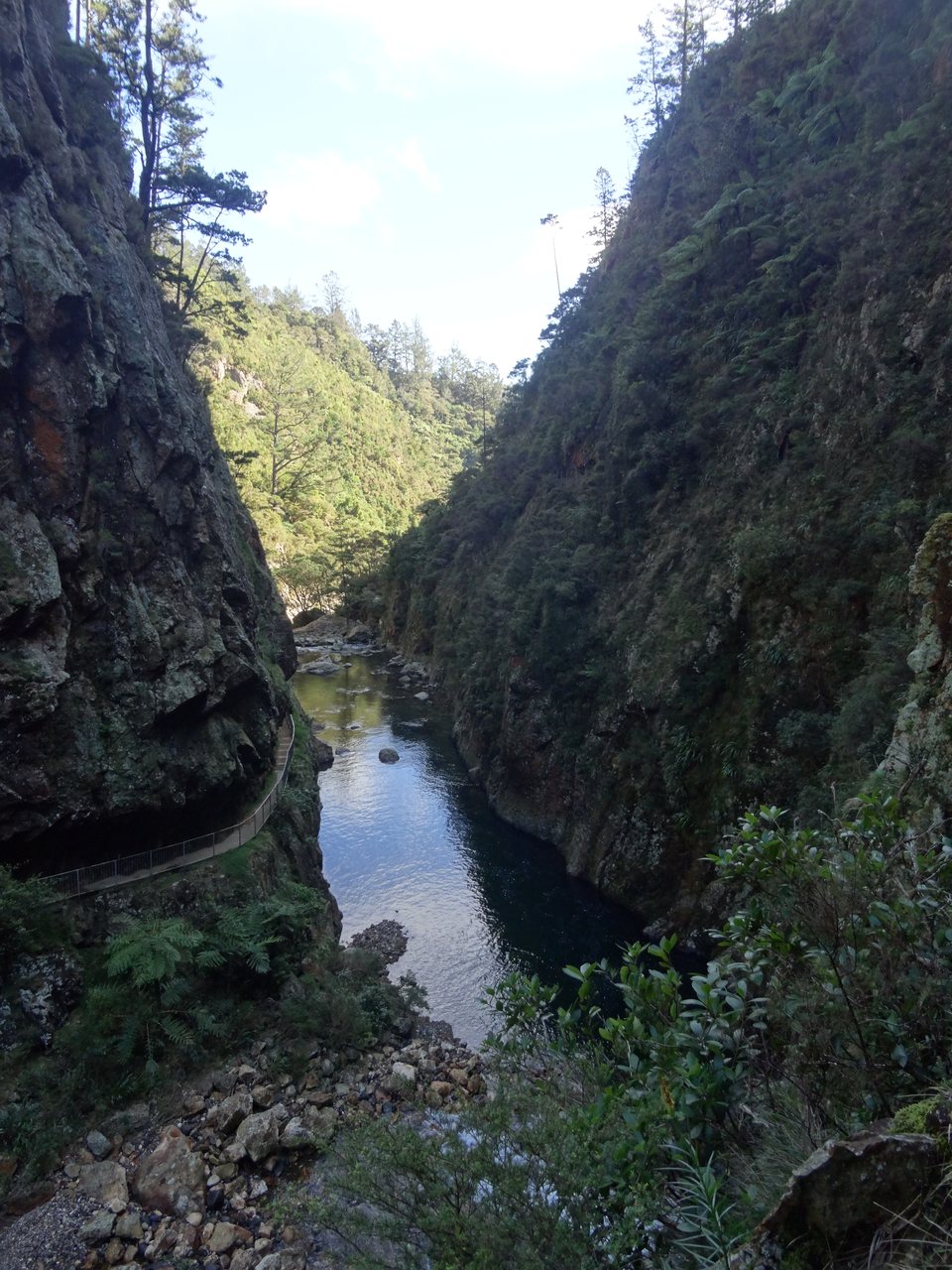 Coromandel, Nouvelle-Zélande
