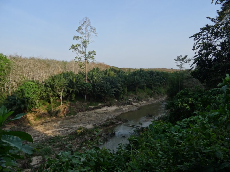 Surat Thani, Thaïlande