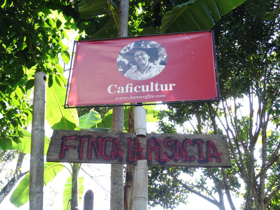 Zona Cafetera, Colombie
