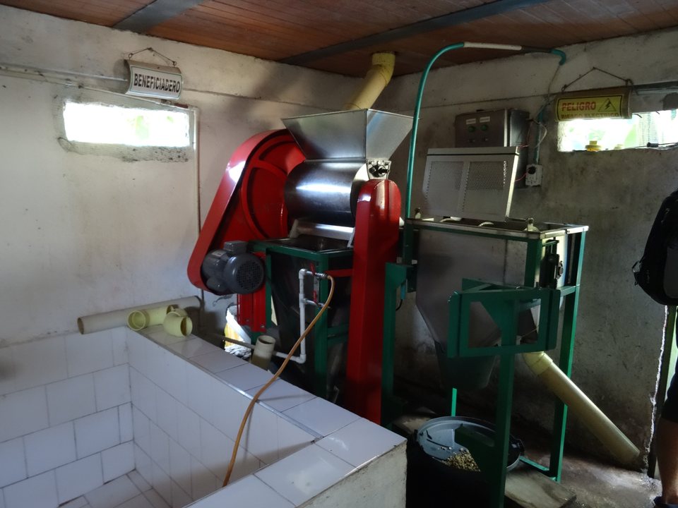 Zona Cafetera, Colombie