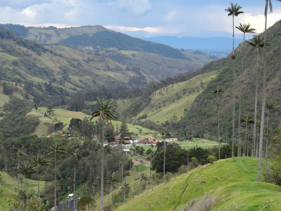 Zona Cafetera, Colombie
