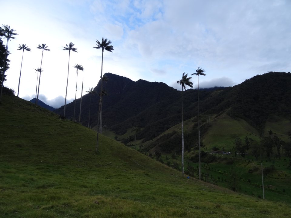 Zona Cafetera, Colombie