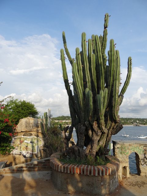 Puerto Escondido, Mexique