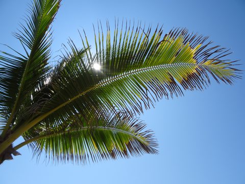 Puerto Escondido, Mexique