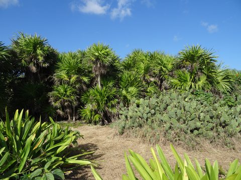 Tulum - Chichen Itza, Mexique