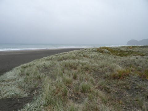 Auckland, Nouvelle-Zélande