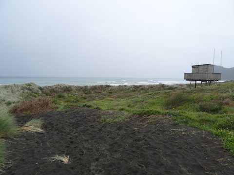 Auckland, Nouvelle-Zélande