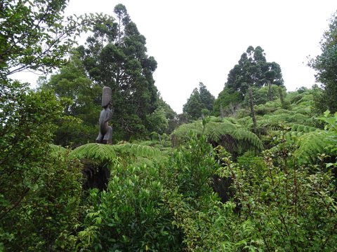 Auckland, Nouvelle-Zélande