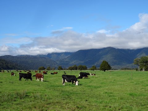 West Coast, Nouvelle-Zélande