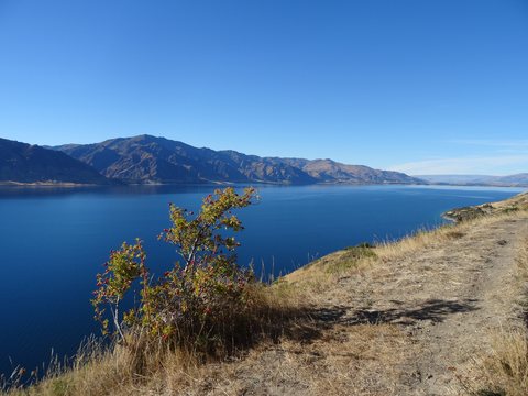 Lac Wanaka, Nouvelle-Zélande