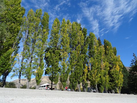 Lac Wanaka, Nouvelle-Zélande