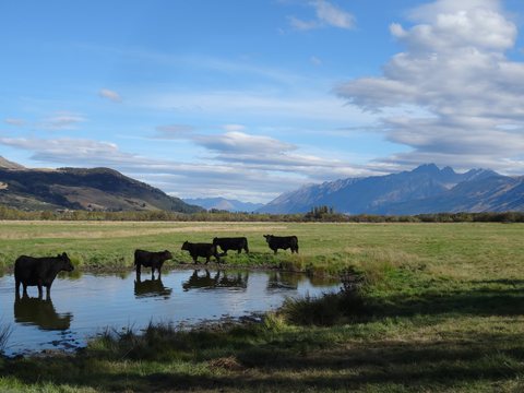 Queenstown - Glenorchy, Nouvelle-Zélande